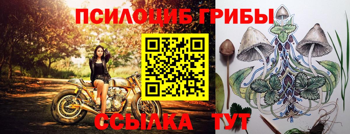 Чапаевск  Псилоцибиновые грибы мухоморы  Вход с VPN 